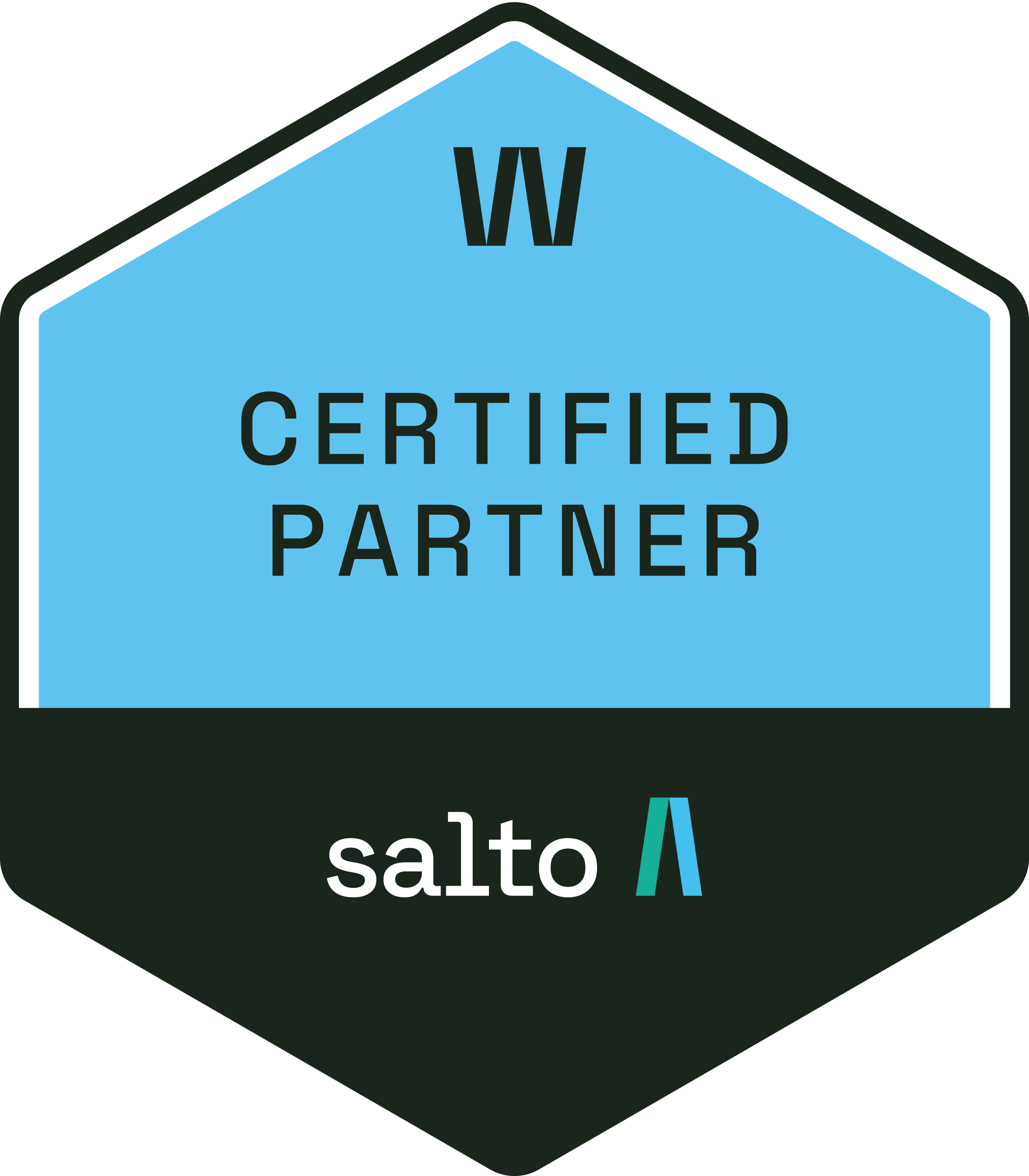 Salto_Partner_Logo